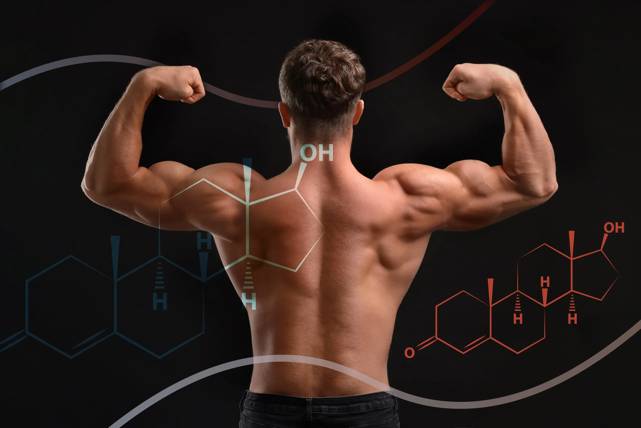 A muscular man flexing his back with molecular diagrams overlaid, symbolizing the science and purchasing anavar safely for fitness and muscle development.